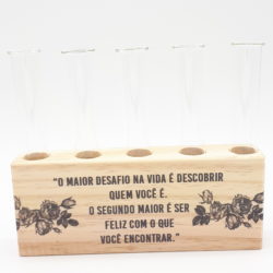 Ripa pinus decor A naior descoberta