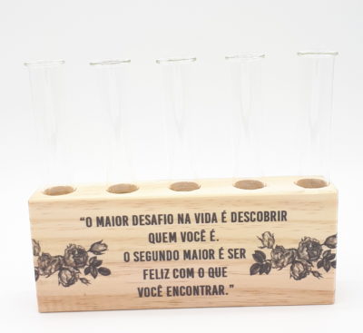 Ripa pinus decor A naior descoberta